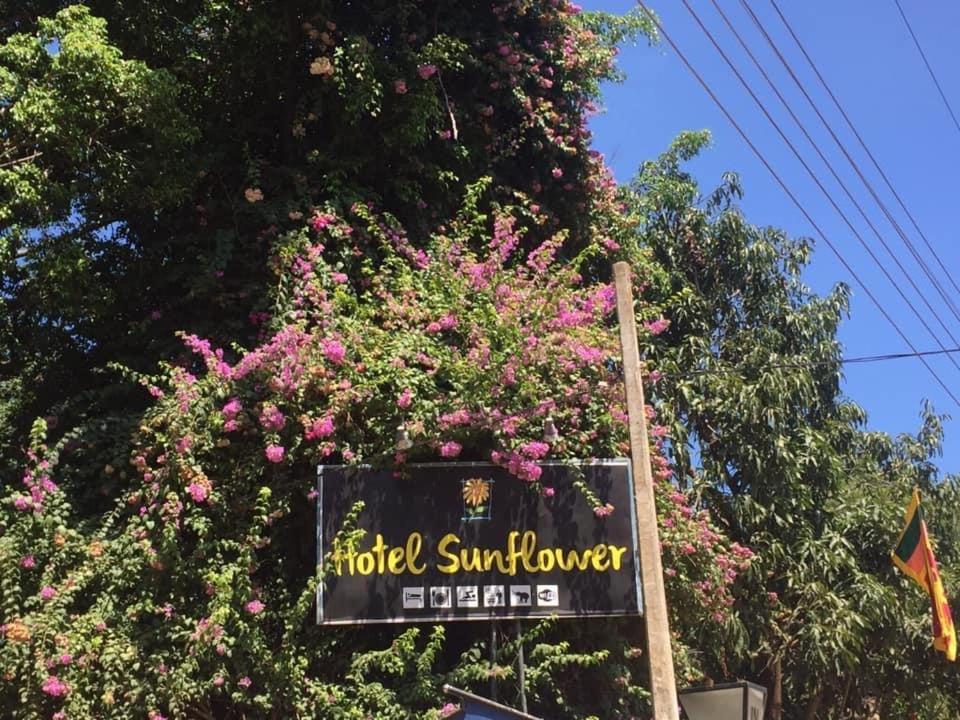 Hotel Sunflower Катарагама Екстериор снимка